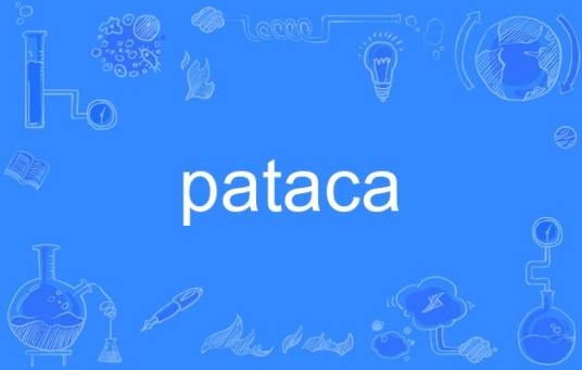 pataca