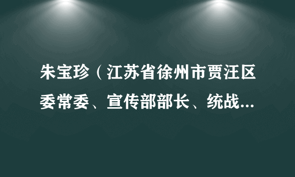 朱宝珍（江苏省徐州市贾汪区委常委、宣传部部长、统战部部长）