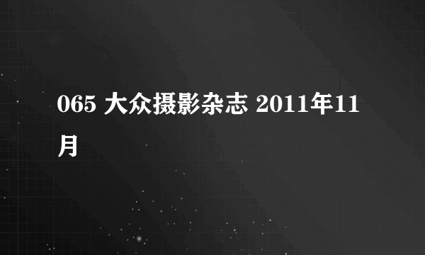 065 大众摄影杂志 2011年11月