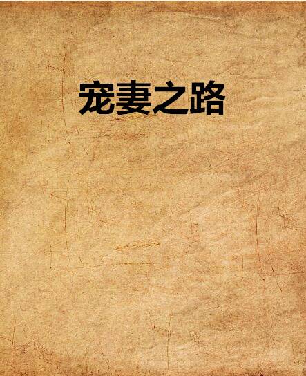 宠妻之路（夜小雪创作的小说）