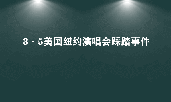 3·5美国纽约演唱会踩踏事件