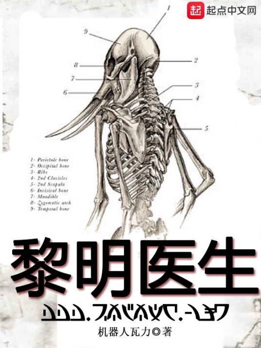 黎明医生（机器人瓦力创作的悬疑类网络小说）