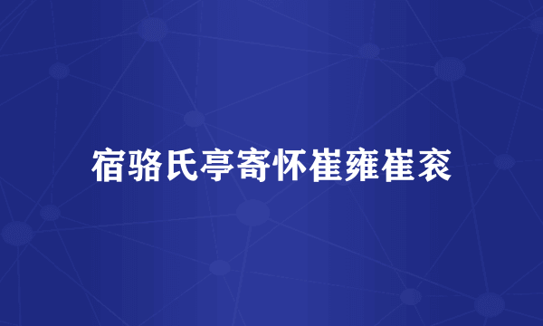 宿骆氏亭寄怀崔雍崔衮