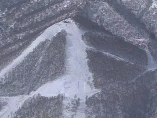 12·23中国游客日本滑雪场死亡事件