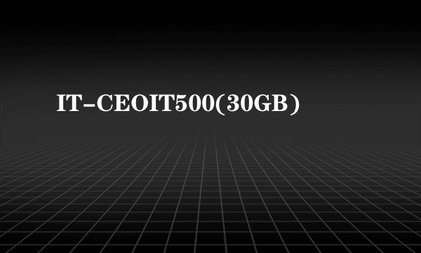 IT-CEOIT500(30GB)