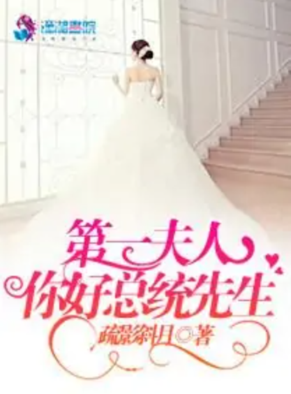 第一夫人：你好，总统先生