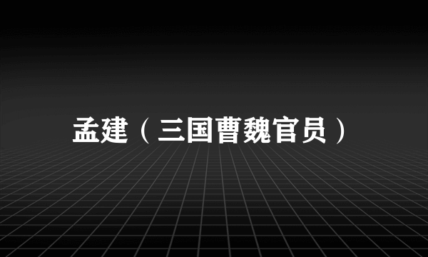 孟建（三国曹魏官员）