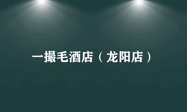 一撮毛酒店（龙阳店）