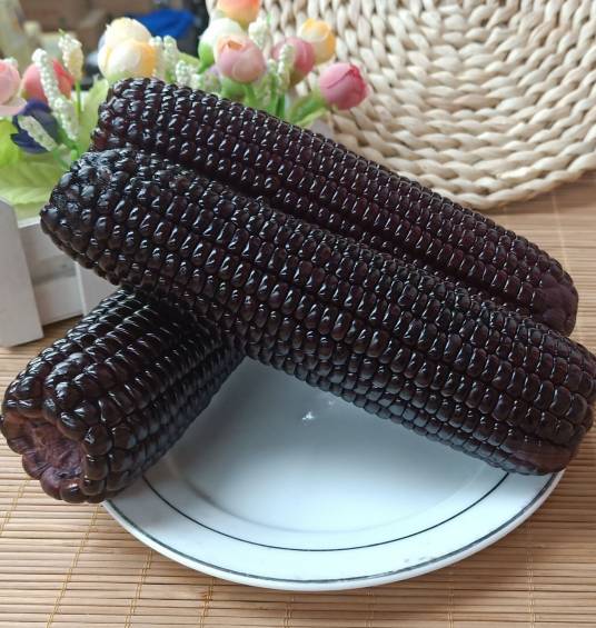 黑玉米