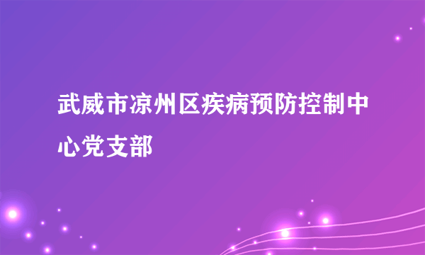 武威市凉州区疾病预防控制中心党支部