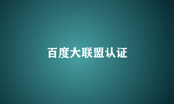 百度大联盟认证