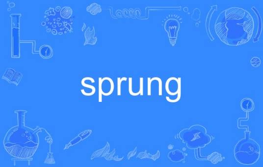 sprung（英语单词）
