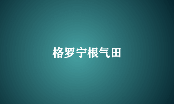 格罗宁根气田
