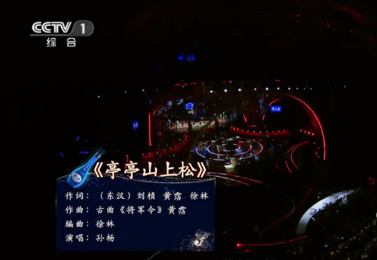 亭亭山上松（孙杨演唱的歌曲）