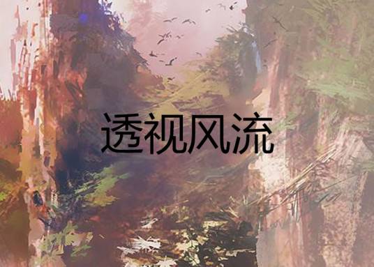 透视风流
