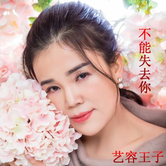 不能失去你（艺容王子演唱的歌曲）