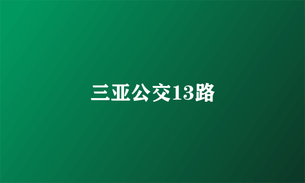 三亚公交13路