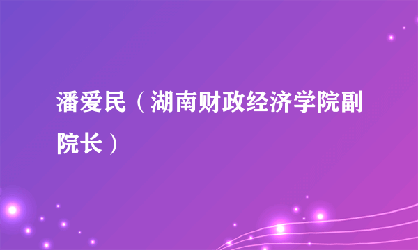 潘爱民（湖南财政经济学院副院长）