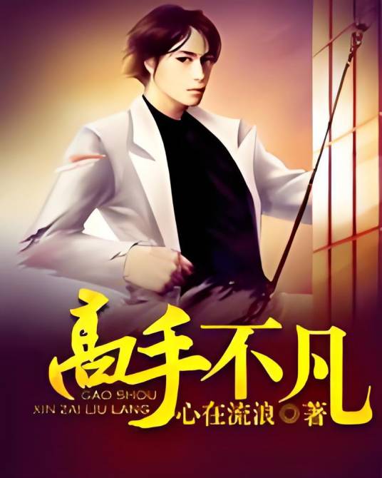 高手不凡（心在流浪创作的网络小说）