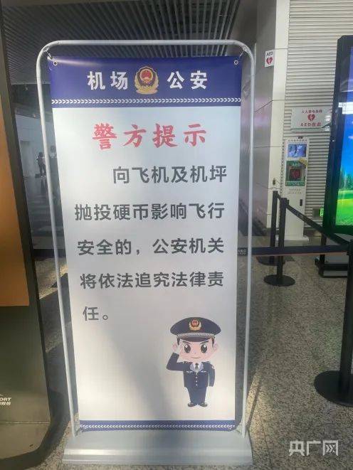3·6南方航空乘客向飞机投掷硬币事件