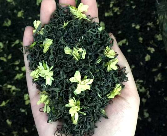 犍为茉莉花茶