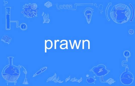 prawn