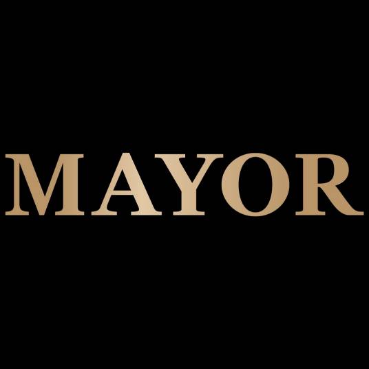 mayor（雅戈尔旗下高端男装品牌）