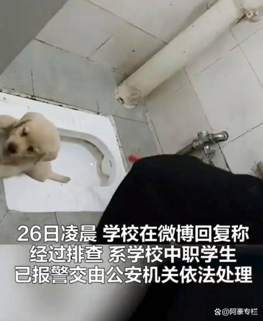 10·25四川职校学生虐狗事件