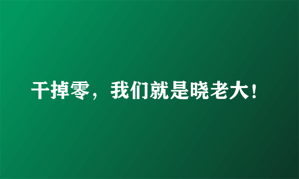 干掉零，我们就是晓老大！