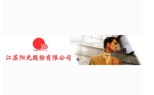 江苏阳光股份有限公司