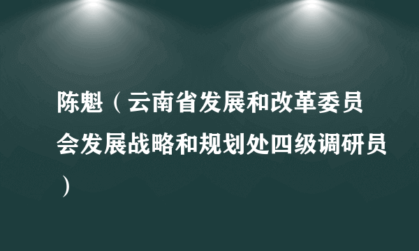 陈魁（云南省发展和改革委员会发展战略和规划处四级调研员）