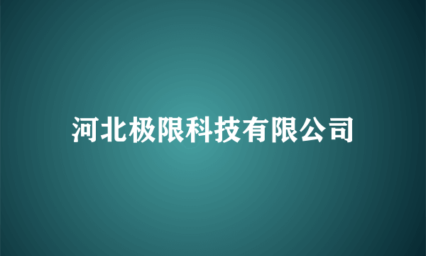 河北极限科技有限公司