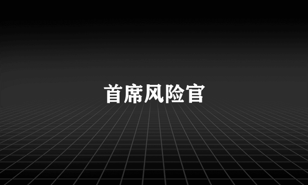 首席风险官