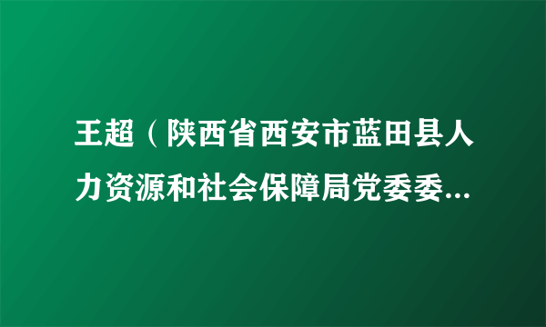 王超（陕西省西安市蓝田县人力资源和社会保障局党委委员、副局长）