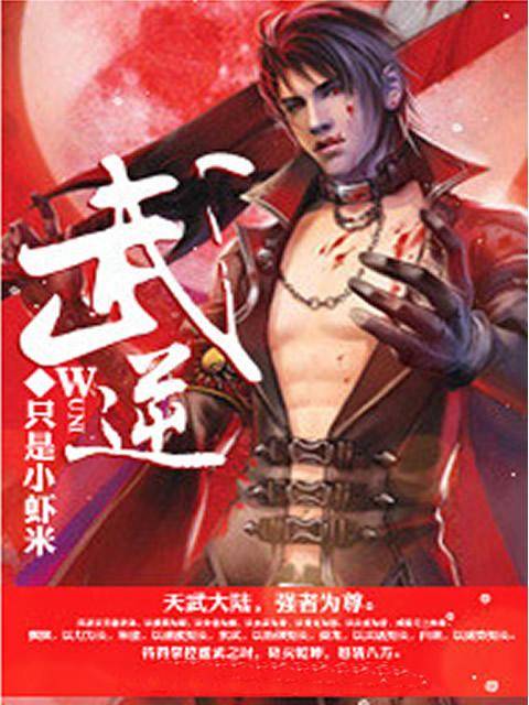 武逆（只是小虾米创作的玄幻类网络小说）