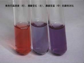 石蕊试液
