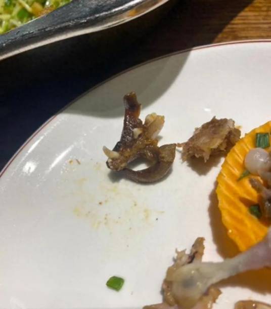 2·26柳州干锅兔肉疑似吃出猫牙事件
