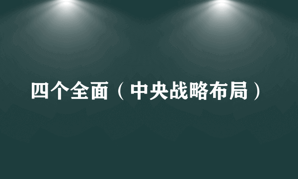 四个全面（中央战略布局）