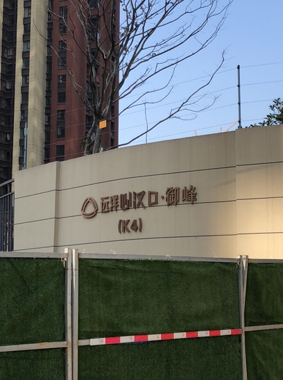 远洋心汉口二期