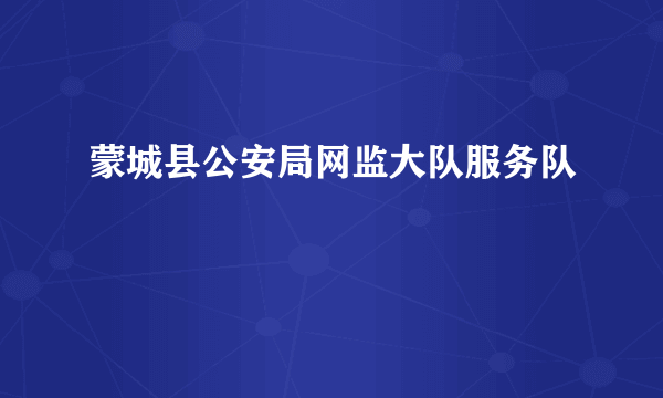 蒙城县公安局网监大队服务队