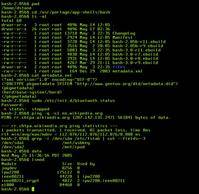 unix shell