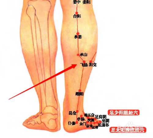 飞扬穴