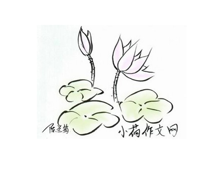 小荷作文网