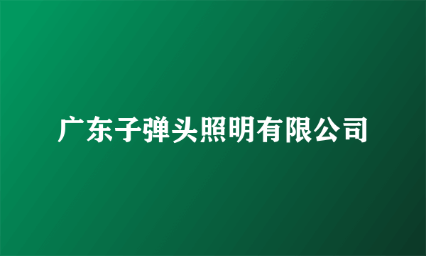 广东子弹头照明有限公司