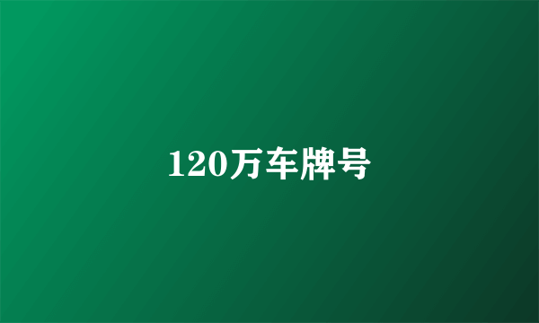 120万车牌号