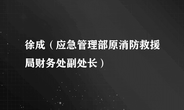 徐成（应急管理部原消防救援局财务处副处长）