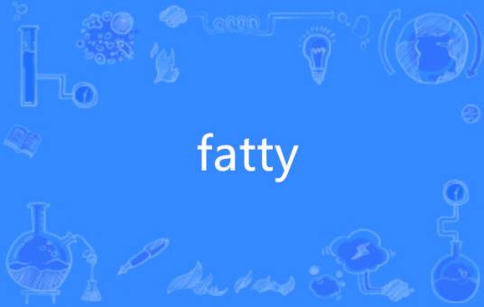 fatty（英语单词）