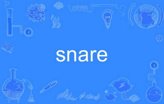 snare