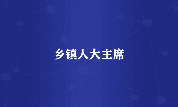 乡镇人大主席