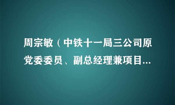 周宗敏（中铁十一局三公司原党委委员、副总经理兼项目部负责人）
